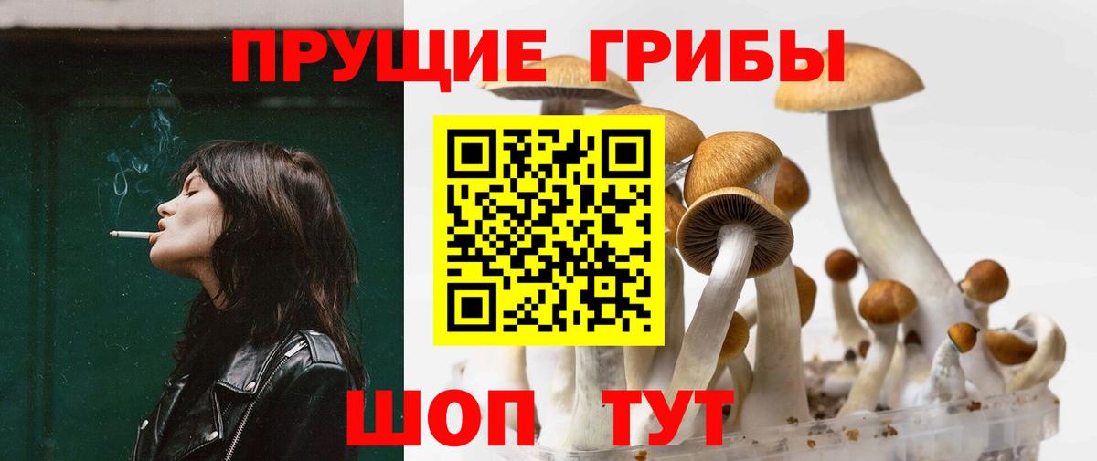 Галлюциногенные грибы ЛСД Грозный